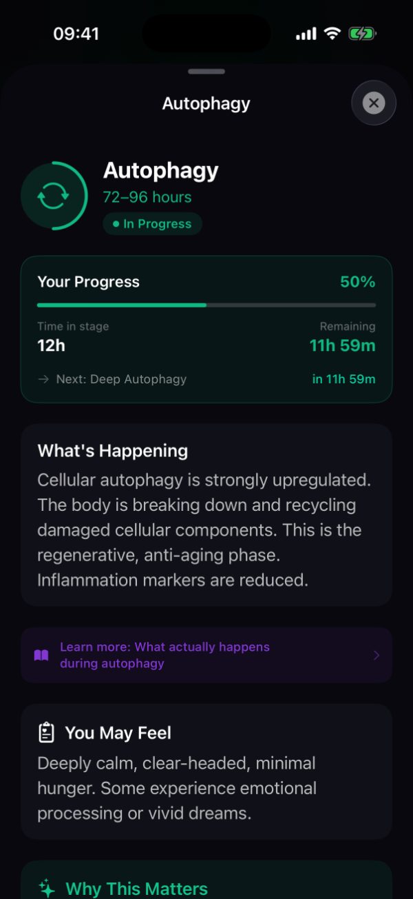 Burn's Autophagy stage detail, 72 to 96 hours